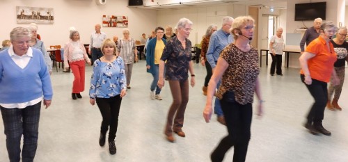 20230428 line-dancing3